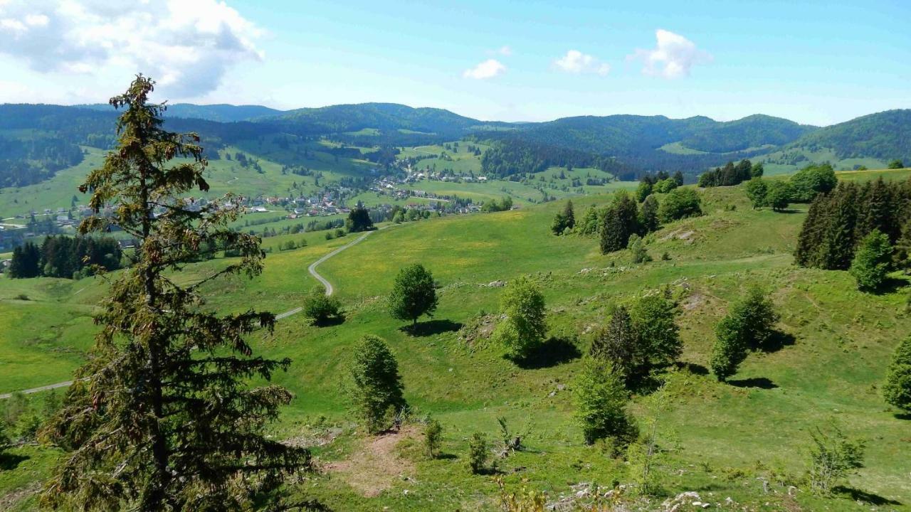 Weitblick "Entspannen - Wohlfuehlen - Aktiv Erholen" Elzach Eksteriør billede