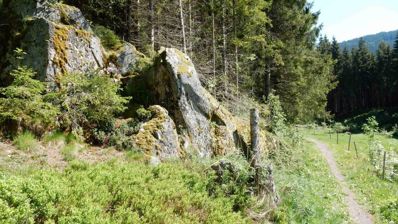 Weitblick "Entspannen - Wohlfuehlen - Aktiv Erholen" Elzach Eksteriør billede