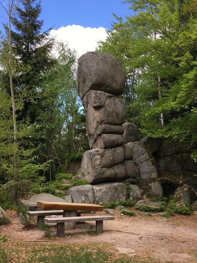 Weitblick "Entspannen - Wohlfuehlen - Aktiv Erholen" Elzach Eksteriør billede